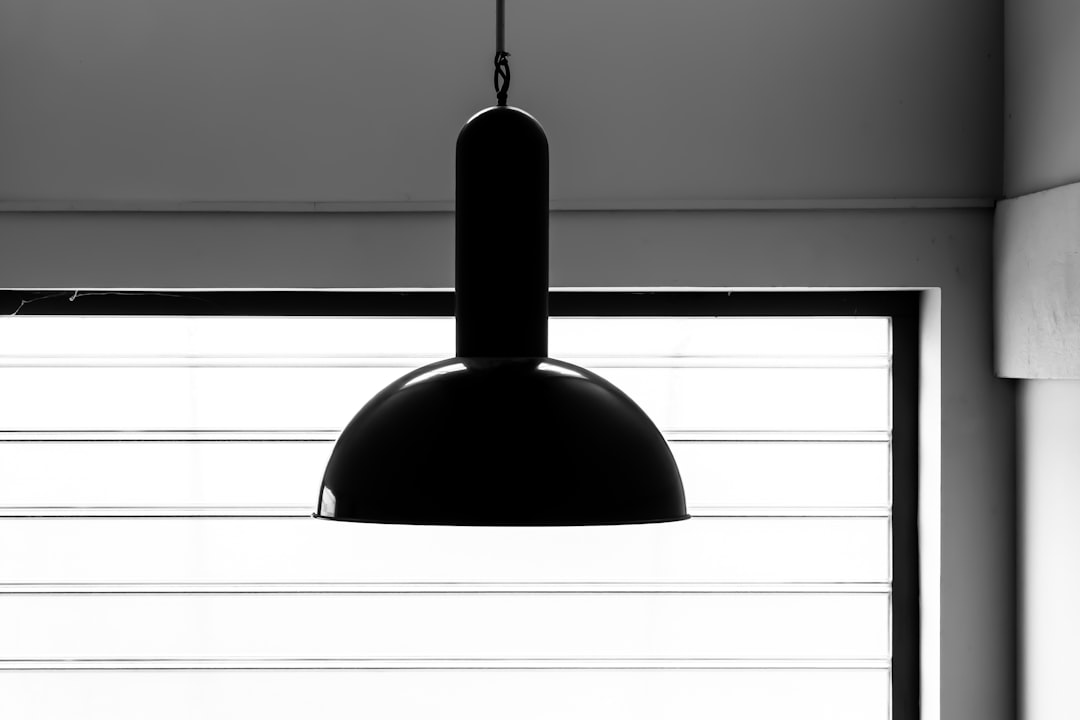 Photo pendant light
